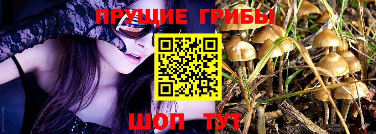 купить закладку  Вход с VPN  Гулькевичи  Галлюциногенные грибы мухоморы  Псилоцибиновые грибы Magic Shrooms 