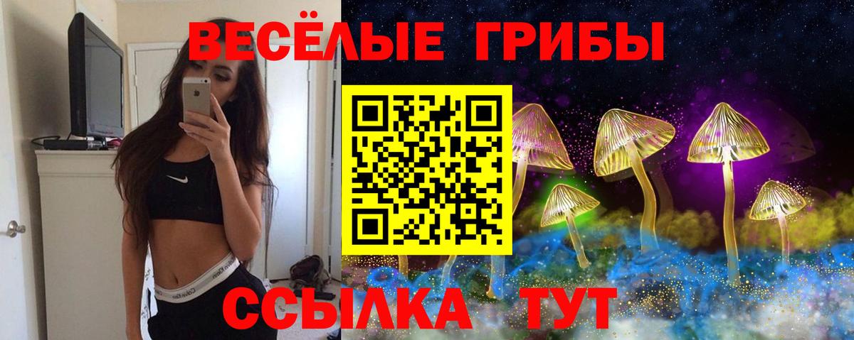 Галлюциногенные грибы мухоморы Гулькевичи